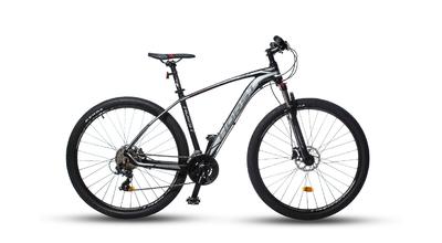 Горный велосипед Horst Aztec 29 (2020)